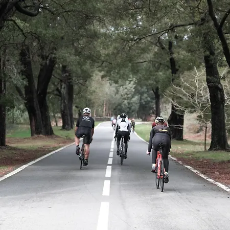 فندق Feelviana Sport فيانا دو كاستيلو