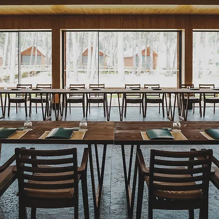 Feelviana Sport فيانا دو كاستيلو